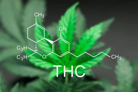 Image of a marijuana leaf with depicting the chemical formula for THC.