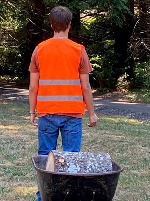 A juvenile work crew member moves  firewood using a wheelbarrow as part of the County’s Firewood Program, which supports residents in need while promoting accountability and teamwork. (Benton County photo)