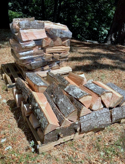 Split firewood is stacked and seasoned as part of the Benton County Juvenile Department’s Work Crew Firewood Program, which provides free firewood to community members who rely on wood for heat or cooking. (Benton County photo)